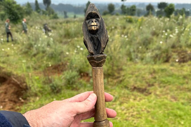 One Day Gorilla Trekking Rwanda & Iby'iwacu Cultural Village - How your gorilla family is chosen, and why that affects your day