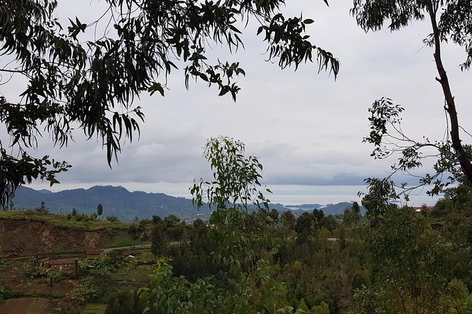 One-day Kivu Lake Adventure - Waterside lunch and the rhythm of the day