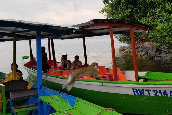 One-day Kivu Lake Adventure - Small group, driver-guide energy, and phone-friendly comfort