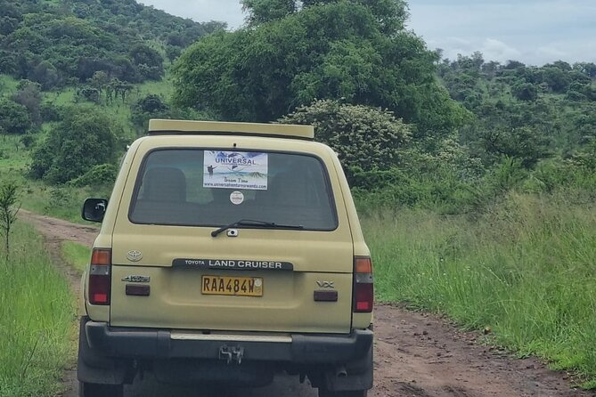 Private 1 Day Akagera Big Five Safari with pick up and lunch. - Lunch and Bottled Water Included, So You Can Stay Focused