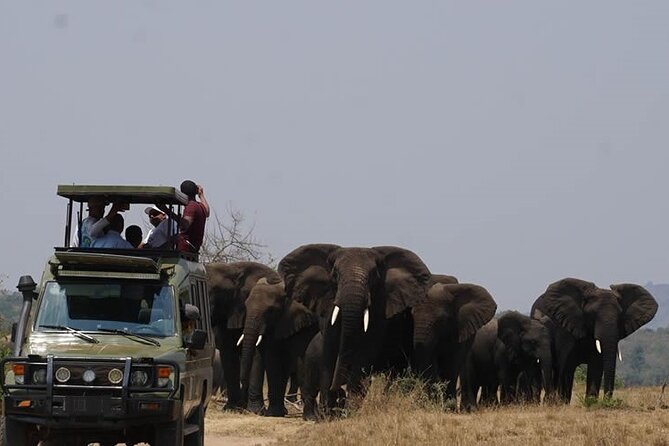 Private Full-Day Tour Akagera Game Drive - Key highlights at a glance
