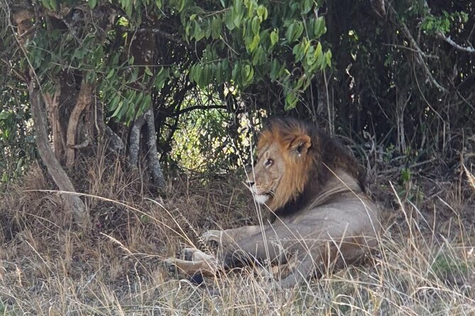 Private Full-Day Tour Akagera Game Drive - Birds, shoebills, and the kind of wildlife day you want