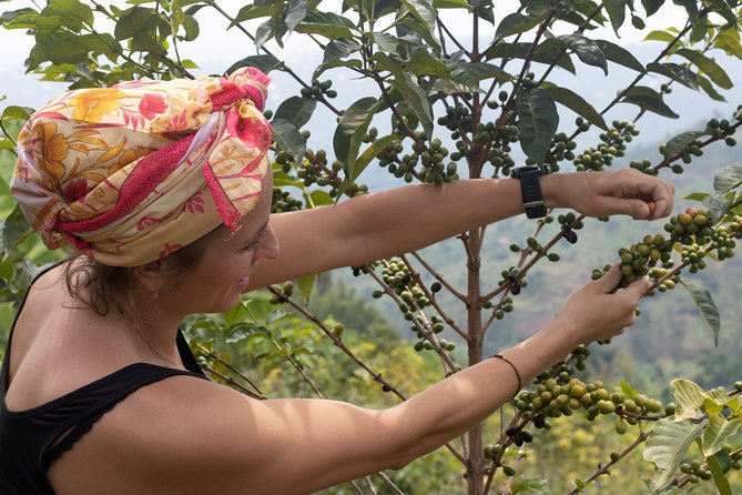 Rwandan Coffee Experience - What the Price Really Buys: Value at $90 per Person