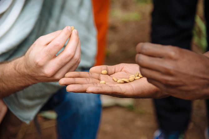 Women-led Coffee Farm Trek - URUGO Eco-Lodge and the Women’s Opportunity Center lunch stop